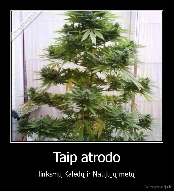 Taip atrodo - linksmų Kalėdų ir Naujųjų metų. 