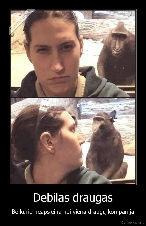 Debilas draugas - Be kurio neapsieina nei viena draugų kompanija. 