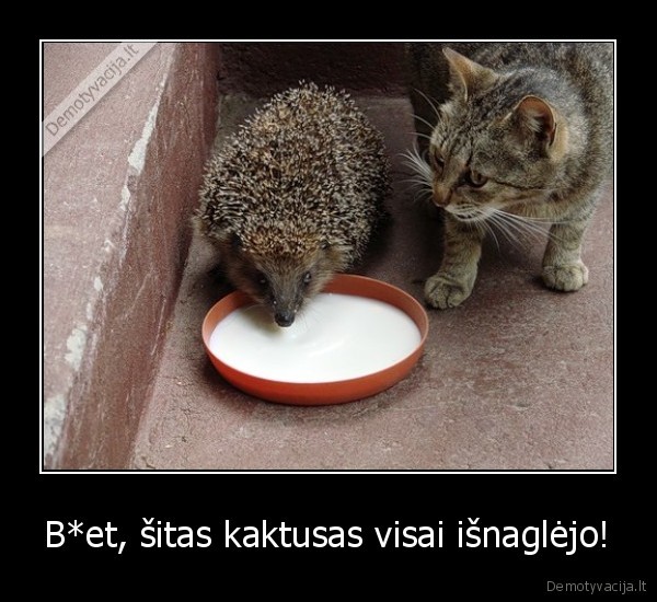 B*et, šitas kaktusas visai išnaglėjo!. 