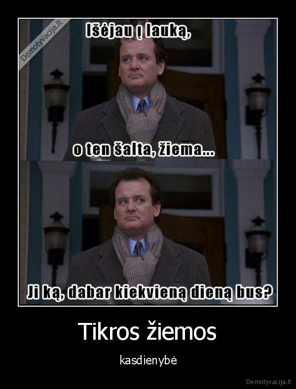 Tikros žiemos - kasdienybė. 