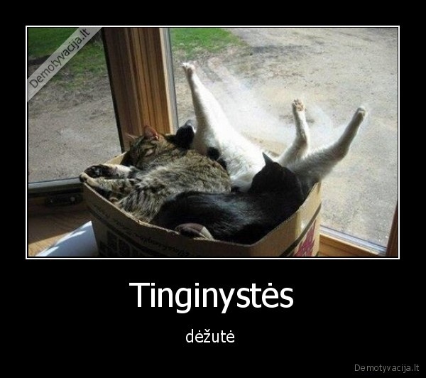 Tinginystės - dėžutė . 