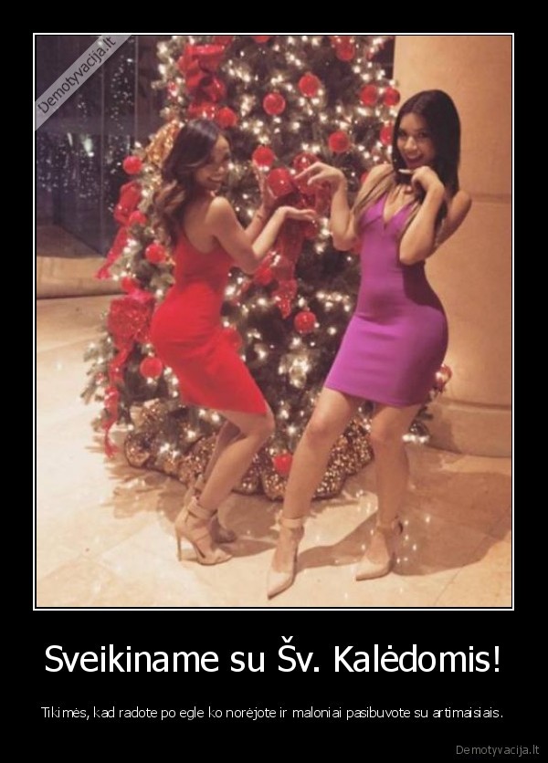 Sveikiname su Šv. Kalėdomis! - Tikimės, kad radote po egle ko norėjote ir maloniai pasibuvote su artimaisiais.. 