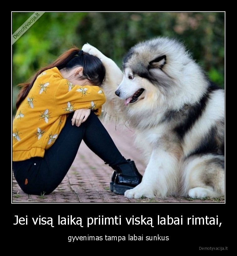 Jei visą laiką priimti viską labai rimtai, - gyvenimas tampa labai sunkus. 