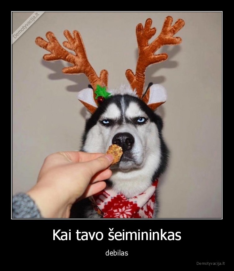 Kai tavo šeimininkas - debilas. 