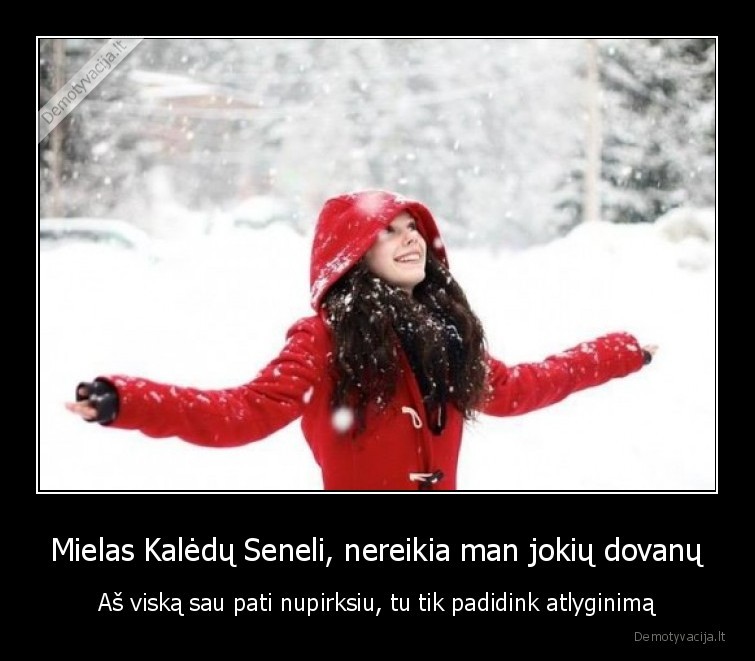 Mielas Kalėdų Seneli, nereikia man jokių dovanų - Aš viską sau pati nupirksiu, tu tik padidink atlyginimą. 