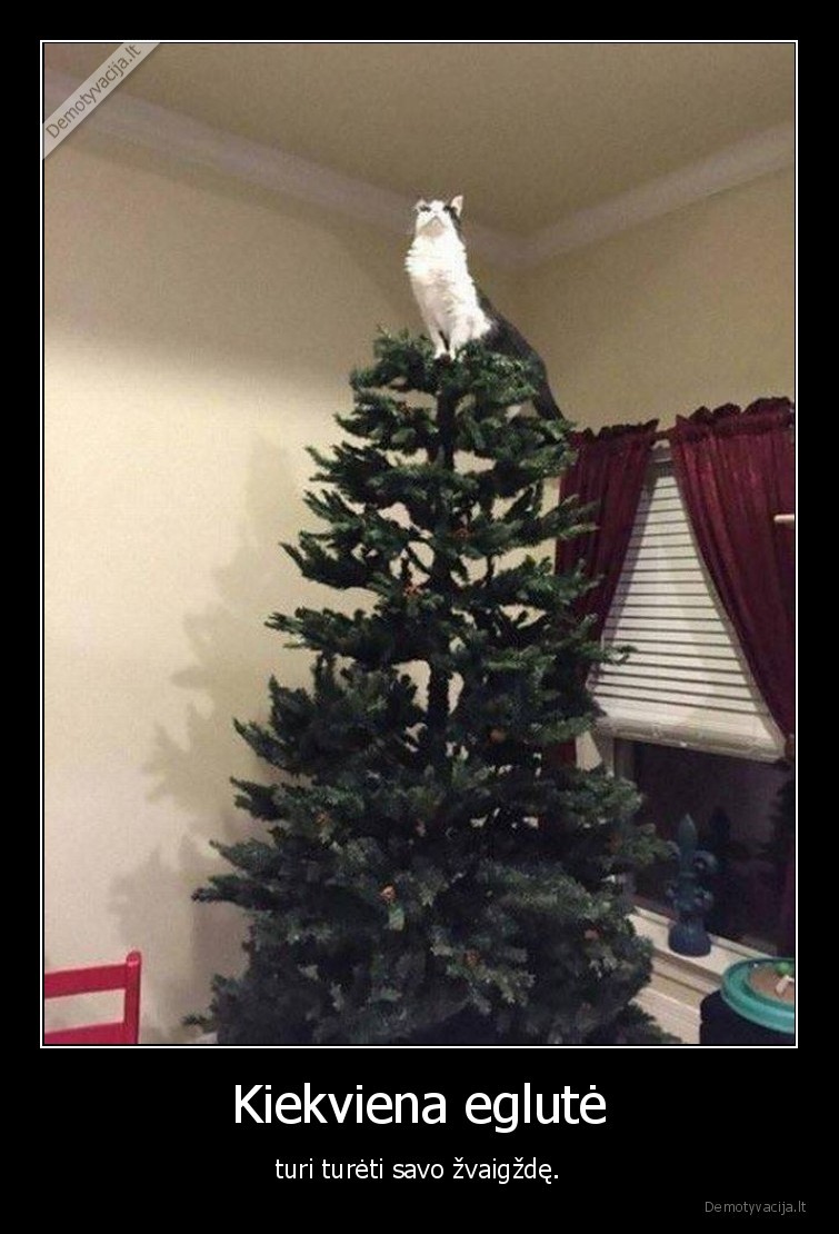 Kiekviena eglutė - turi turėti savo žvaigždę.. 