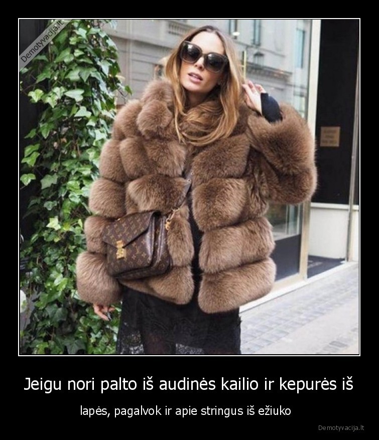 Jeigu nori palto iš audinės kailio ir kepurės iš - lapės, pagalvok ir apie stringus iš ežiuko  . 