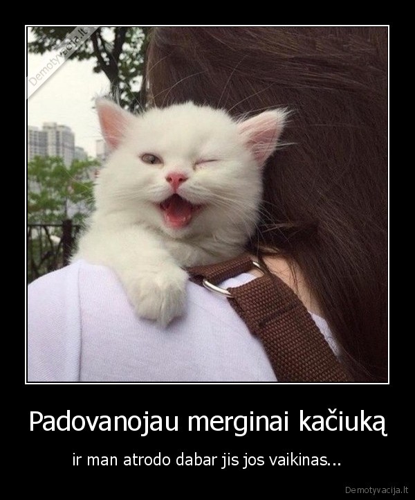 Padovanojau merginai kačiuką - ir man atrodo dabar jis jos vaikinas.... 