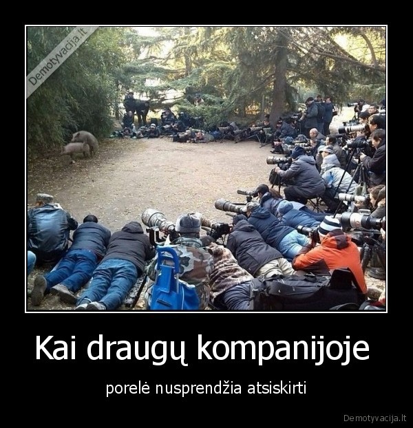 Kai draugų kompanijoje  - porelė nusprendžia atsiskirti. 