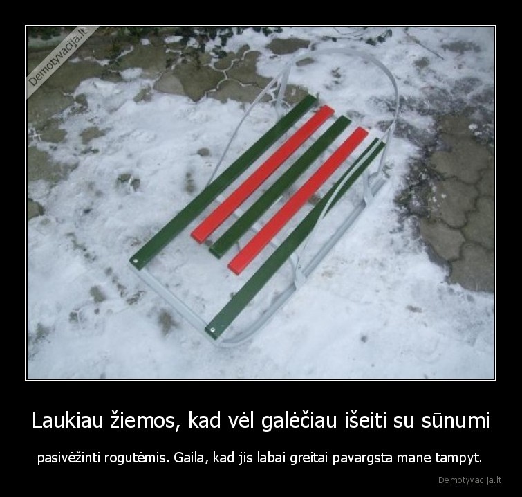 Laukiau žiemos, kad vėl galėčiau išeiti su sūnumi - pasivėžinti rogutėmis. Gaila, kad jis labai greitai pavargsta mane tampyt.. 