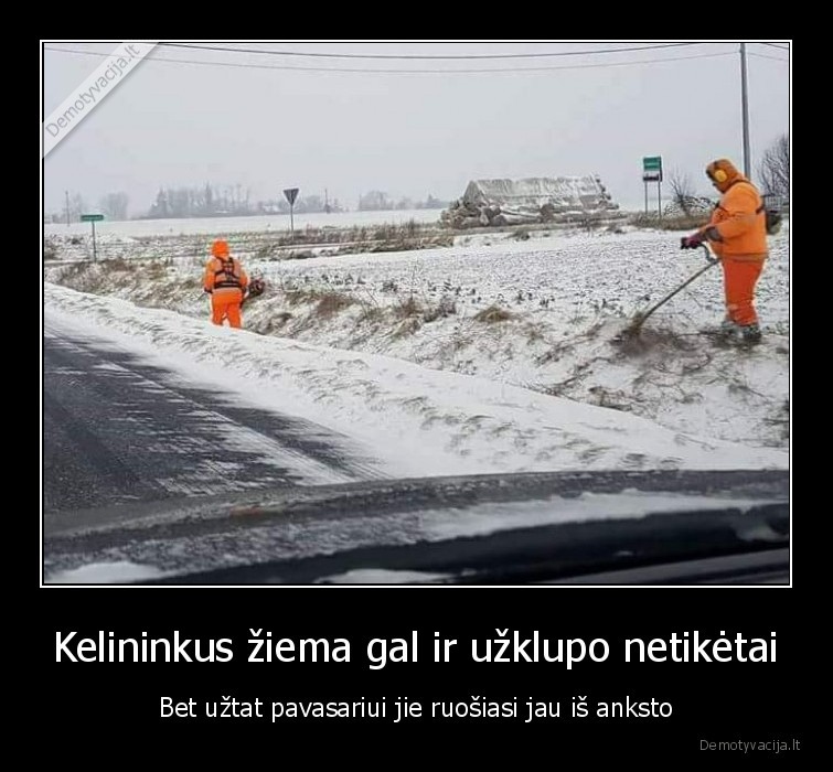 Kelininkus žiema gal ir užklupo netikėtai - Bet užtat pavasariui jie ruošiasi jau iš anksto. 