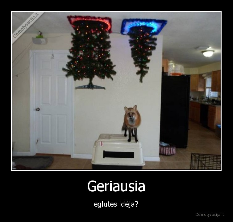 Geriausia - eglutės idėja?. 