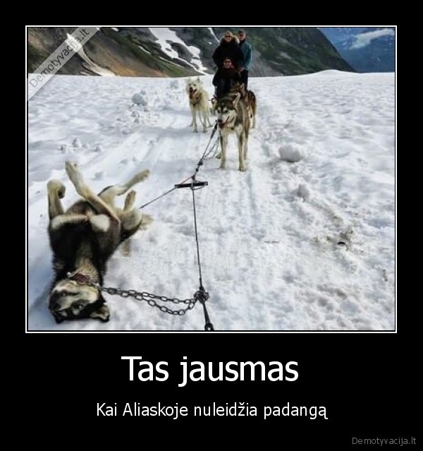 Tas jausmas - Kai Aliaskoje nuleidžia padangą. 