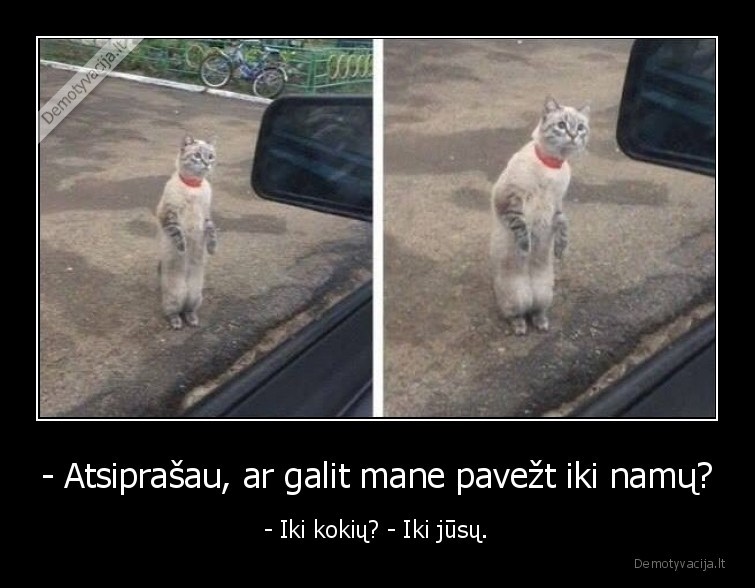 - Atsiprašau, ar galit mane pavežt iki namų? - - Iki kokių? - Iki jūsų.. 
