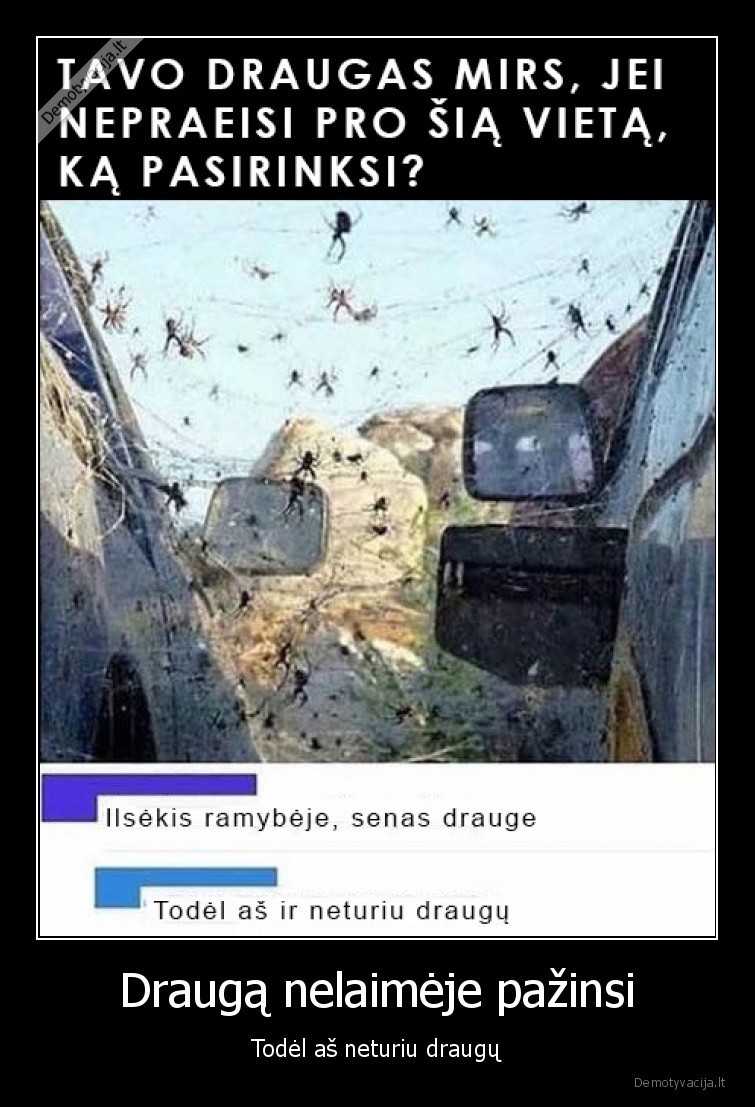 Draugą nelaimėje pažinsi - Todėl aš neturiu draugų. 