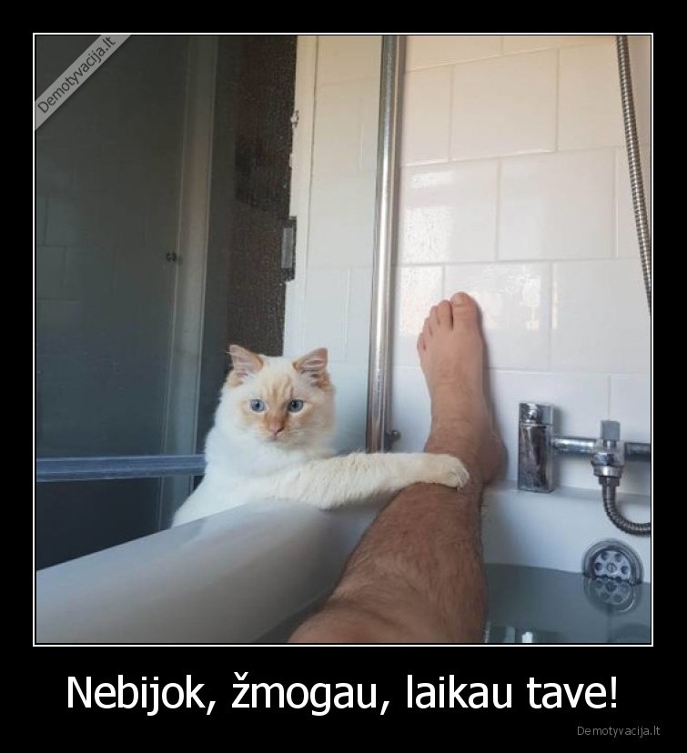 Nebijok, žmogau, laikau tave!. 