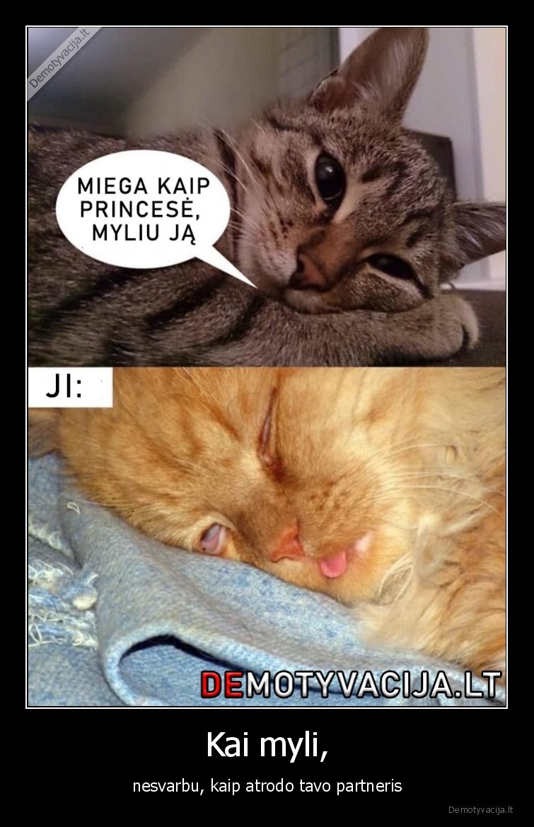 Kai myli, - nesvarbu, kaip atrodo tavo partneris. 