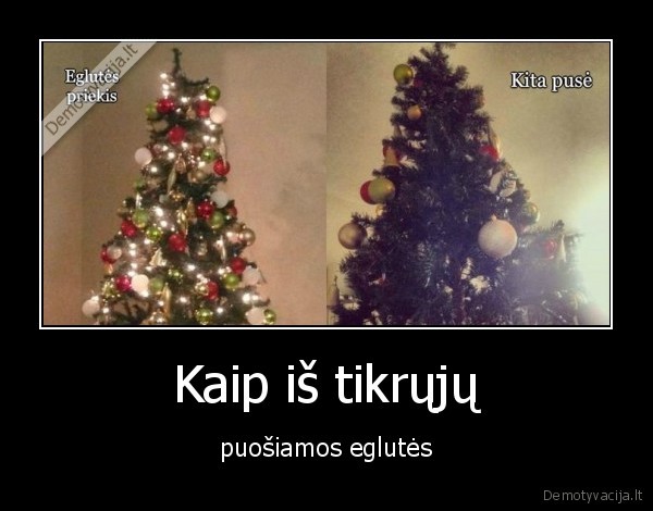 Kaip iš tikrųjų - puošiamos eglutės. 