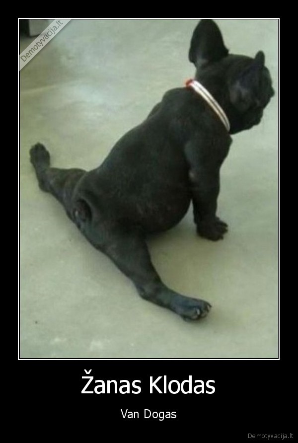 Žanas Klodas - Van Dogas. 