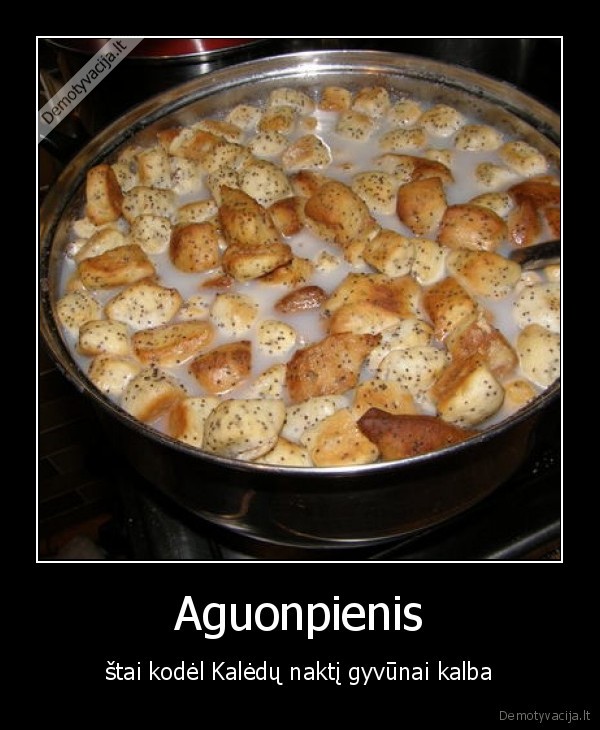 Aguonpienis - štai kodėl Kalėdų naktį gyvūnai kalba. 