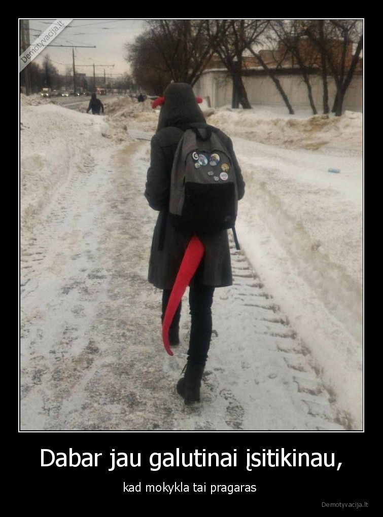 Dabar jau galutinai įsitikinau, - kad mokykla tai pragaras . 
