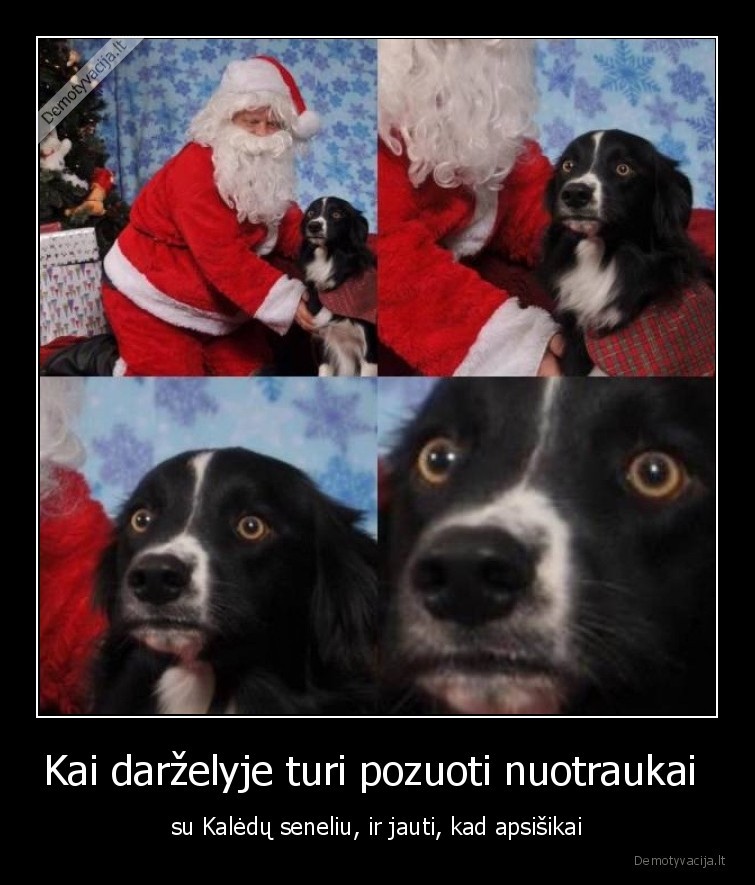 Kai darželyje turi pozuoti nuotraukai  - su Kalėdų seneliu, ir jauti, kad apsišikai. 