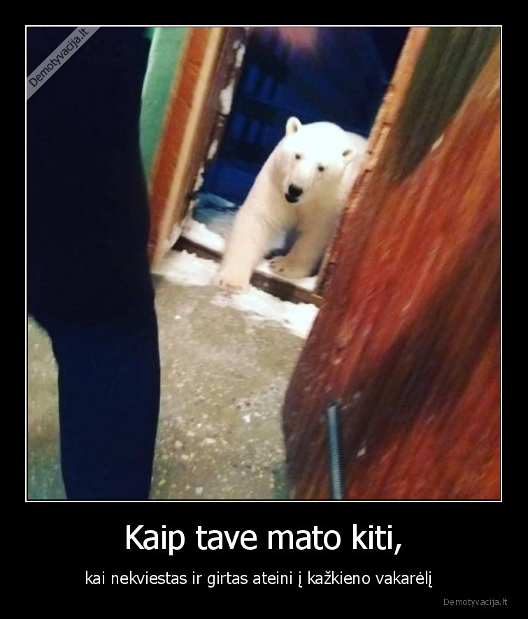 Kaip tave mato kiti, - kai nekviestas ir girtas ateini į kažkieno vakarėlį  . 