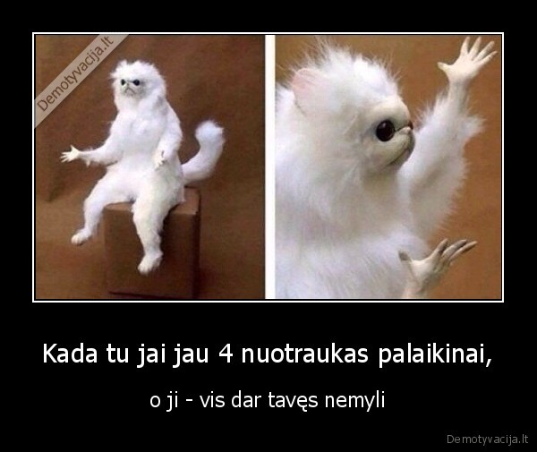 Kada tu jai jau 4 nuotraukas palaikinai, - o ji - vis dar tavęs nemyli. 