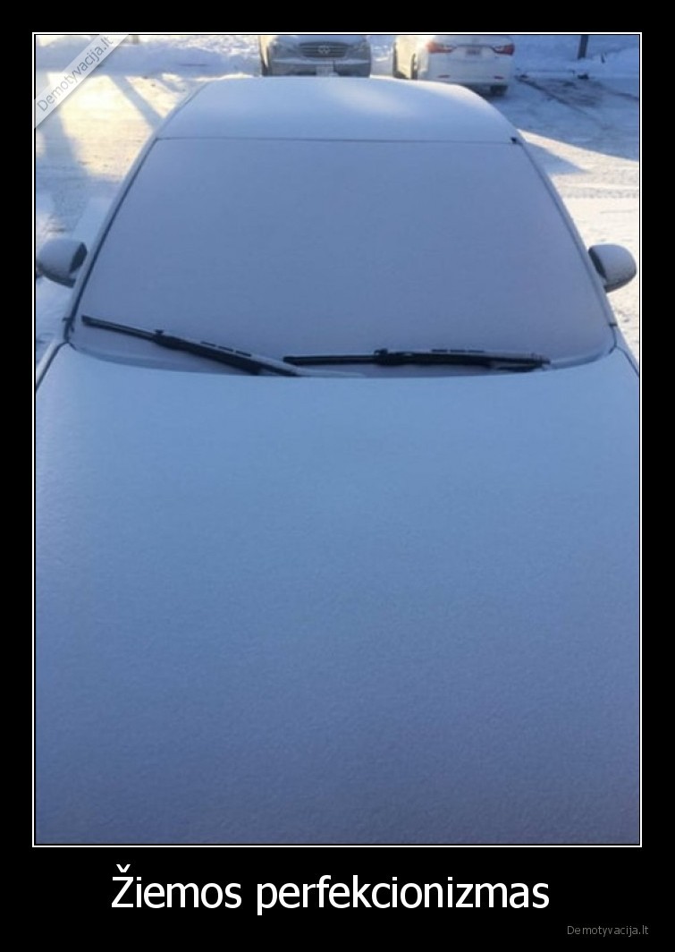 Žiemos perfekcionizmas . 
