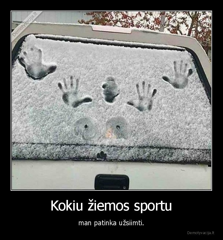 Kokiu žiemos sportu - man patinka užsiimti.. 