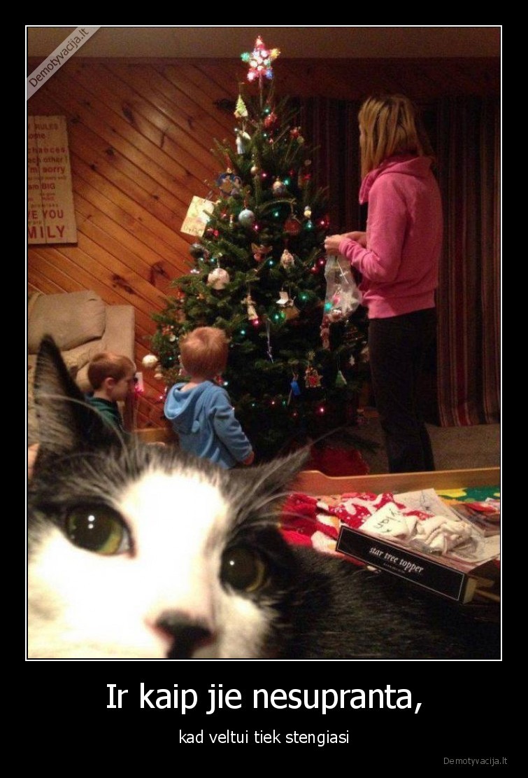 Ir kaip jie nesupranta, - kad veltui tiek stengiasi. 