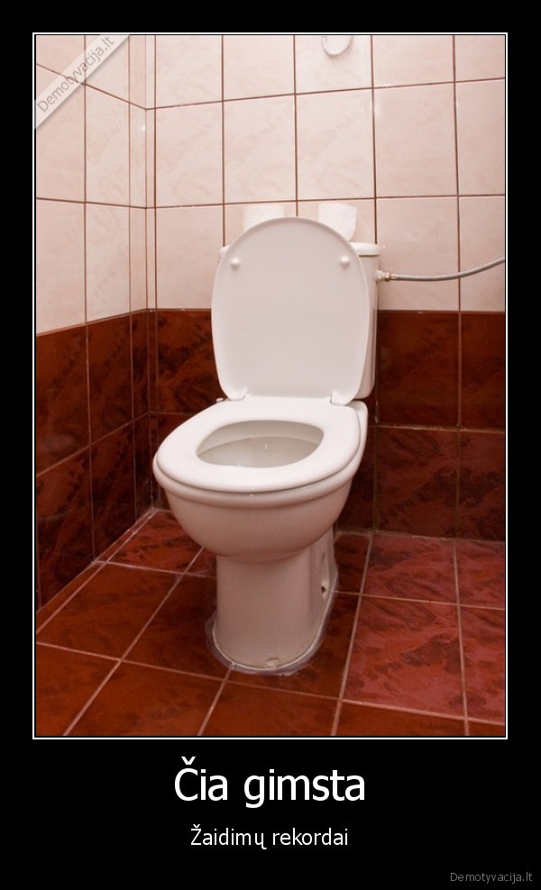 Čia gimsta - Žaidimų rekordai. 