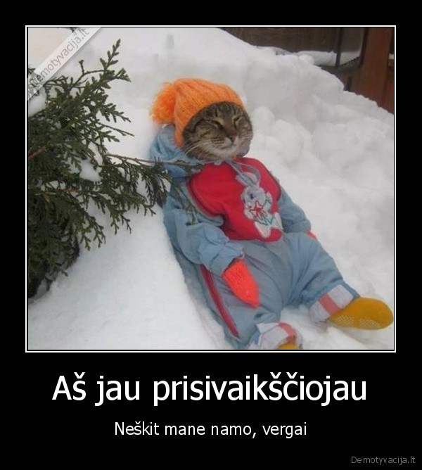 Aš jau prisivaikščiojau - Neškit mane namo, vergai. 