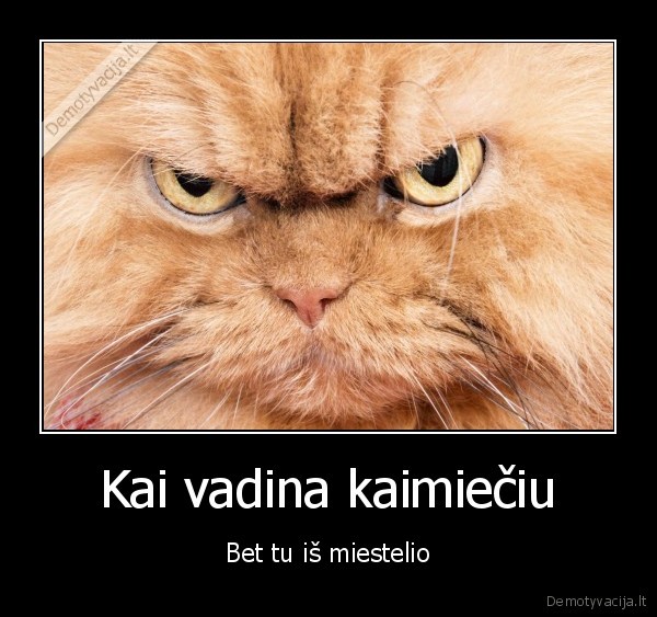 Kai vadina kaimiečiu - Bet tu iš miestelio. 