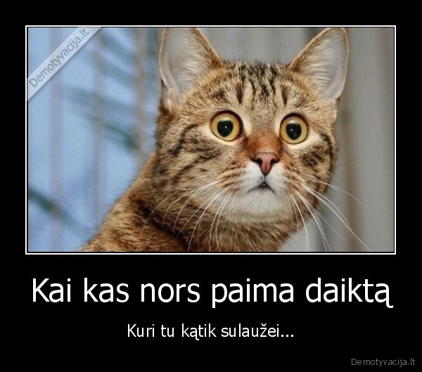 Kai kas nors paima daiktą - Kuri tu kątik sulaužei.... 