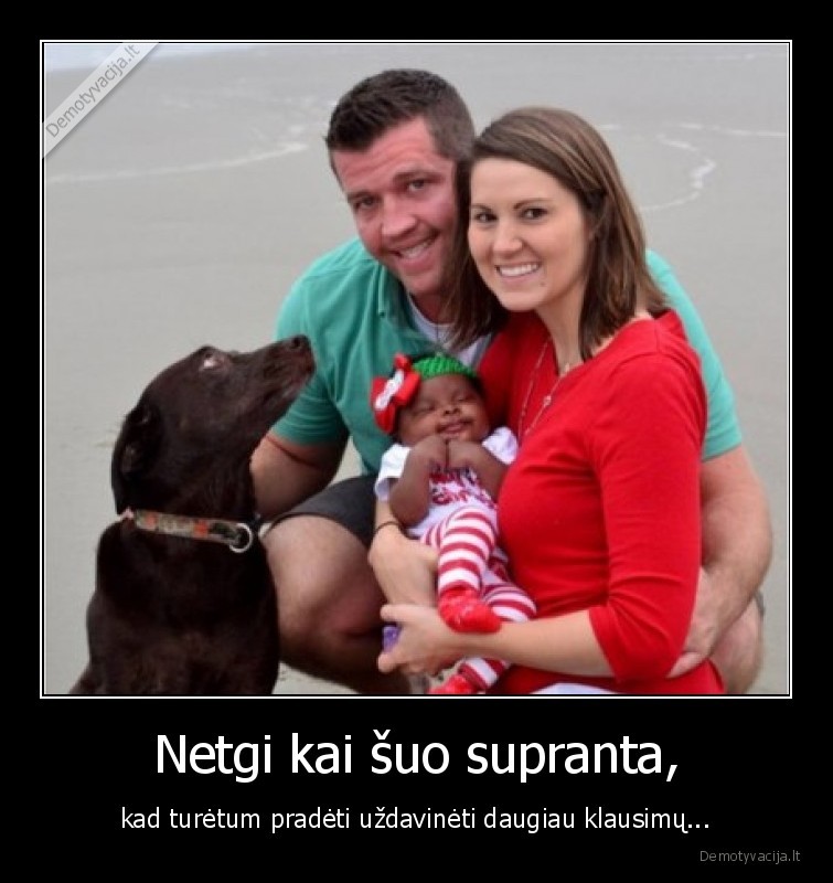 Netgi kai šuo supranta, - kad turėtum pradėti uždavinėti daugiau klausimų.... 