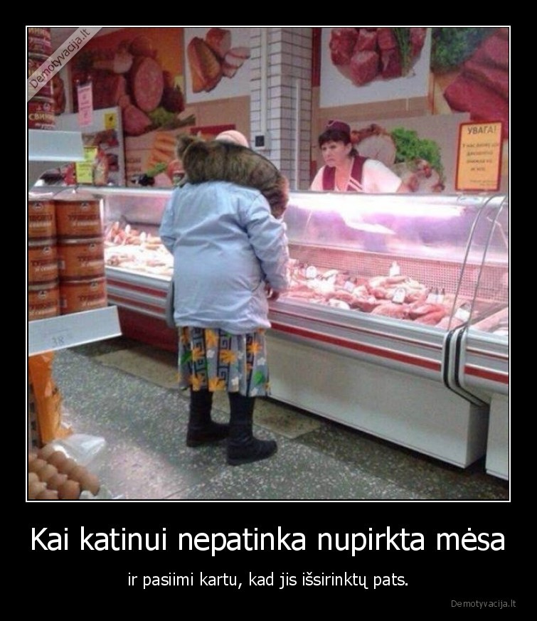 Kai katinui nepatinka nupirkta mėsa - ir pasiimi kartu, kad jis išsirinktų pats.. 