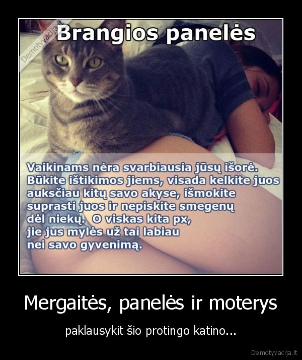 Mergaitės, panelės ir moterys - paklausykit šio protingo katino.... 