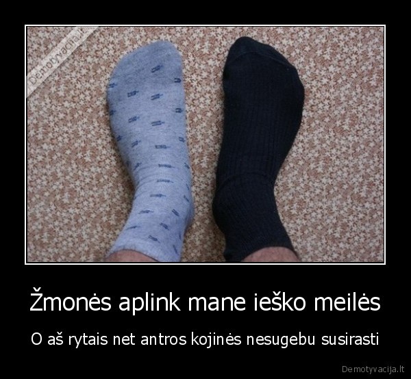 Žmonės aplink mane ieško meilės - O aš rytais net antros kojinės nesugebu susirasti. 