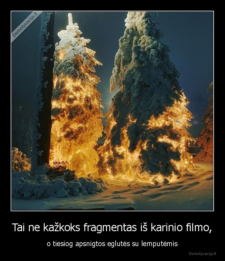 Tai ne kažkoks fragmentas iš karinio filmo, - o tiesiog apsnigtos eglutės su lemputėmis. 