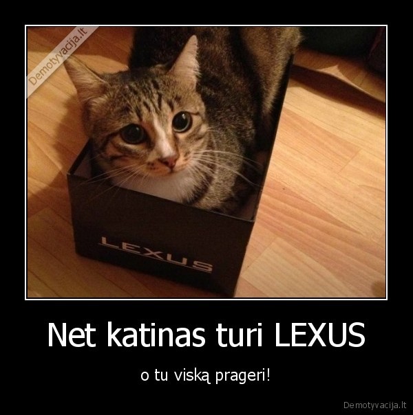Net katinas turi LEXUS - o tu viską prageri!. 