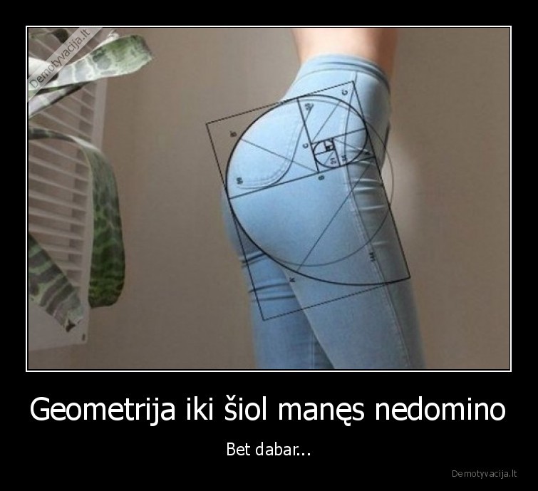 Geometrija iki šiol manęs nedomino - Bet dabar.... 
