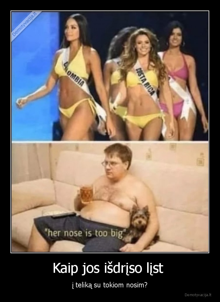 Kaip jos išdrįso lįst  - į teliką su tokiom nosim?. 