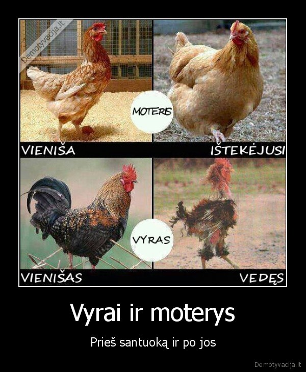 Vyrai ir moterys - Prieš santuoką ir po jos. 