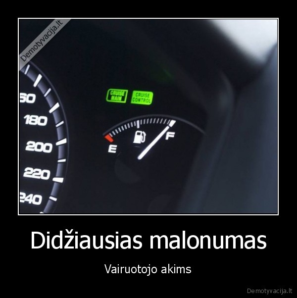 Didžiausias malonumas - Vairuotojo akims. 