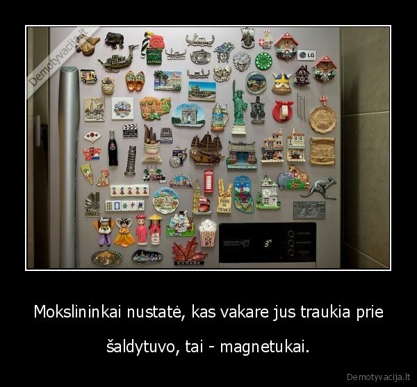 Mokslininkai nustatė, kas vakare jus traukia prie - šaldytuvo, tai - magnetukai.. 