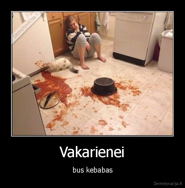 Vakarienei - bus kebabas. 