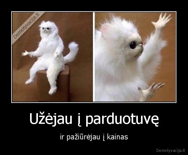 Užėjau į parduotuvę - ir pažiūrėjau į kainas. 