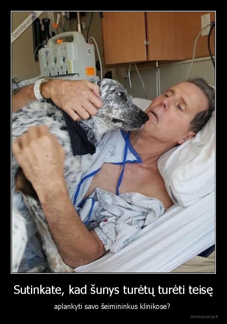 Sutinkate, kad šunys turėtų turėti teisę - aplankyti savo šeimininkus klinikose? . 