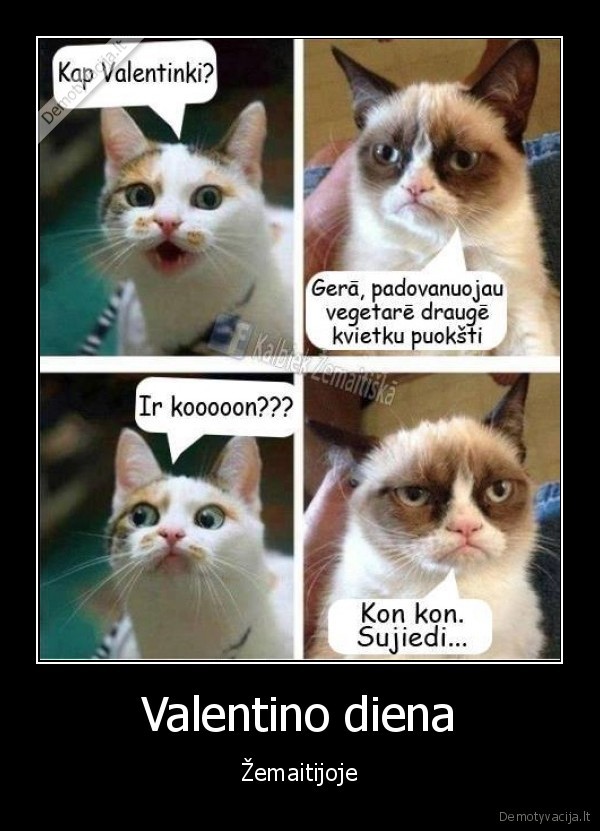 Valentino diena - Žemaitijoje. 